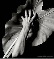 AL_AndrewGraham_S02_CT_0145_r