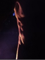 AL_AP2_S08_201141475eRLS