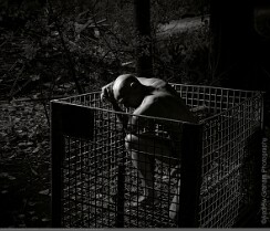 AL_AndrewGraham_S01_CT_0641_r