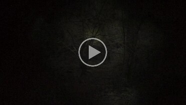 AL_DortchDESIGNS_S22_VA_Bodypaint+Video_ConsumedByTheGrey17-FallingHitPoints_UncertainDate_20210903_AL1